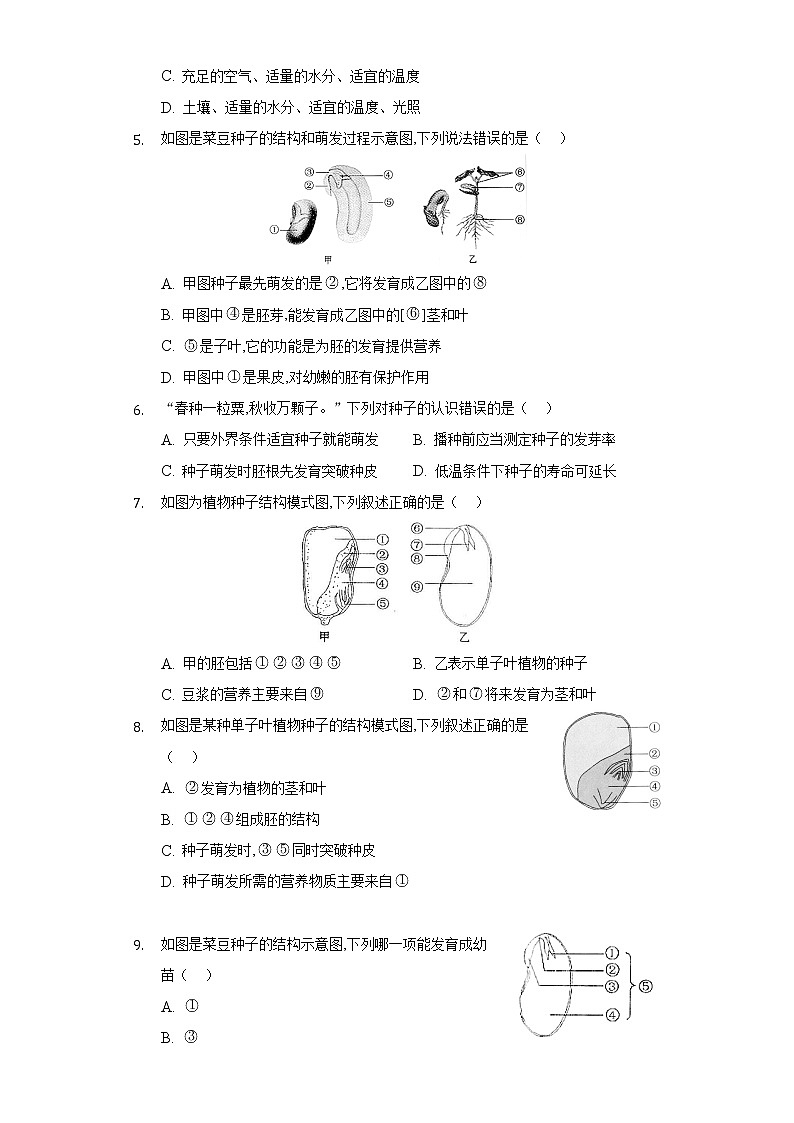 6.1种子萌发形成幼苗   同步练习     北师大版初中生物七年级上册02