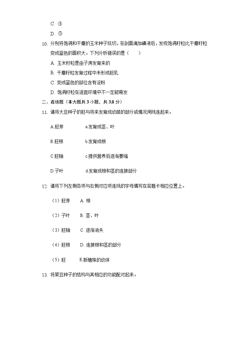 6.1种子萌发形成幼苗   同步练习     北师大版初中生物七年级上册03
