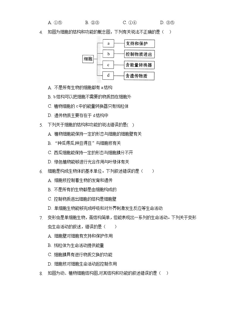 3.2细胞是生命活动的基本单位   同步练习   北师大版初中生物七年级上册02