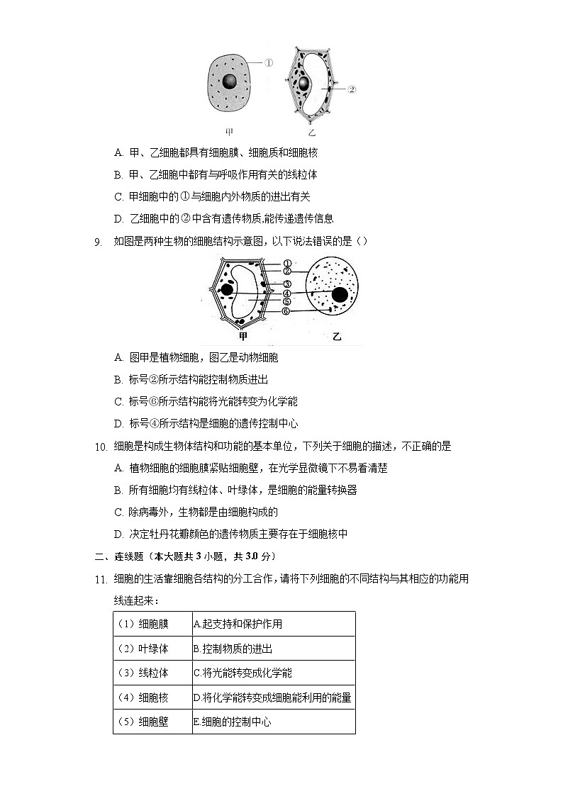 3.2细胞是生命活动的基本单位   同步练习   北师大版初中生物七年级上册03