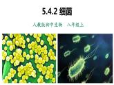 人教版八年级生物上册--5.4.2细菌 课件+视频素材
