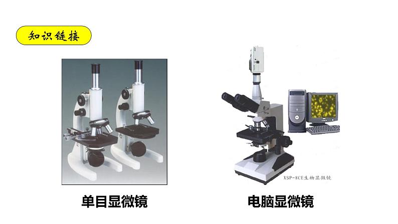 5.4.2细菌第6页