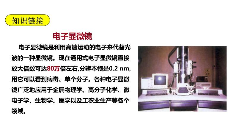 人教版八年级生物上册--5.4.2细菌 课件+视频素材07