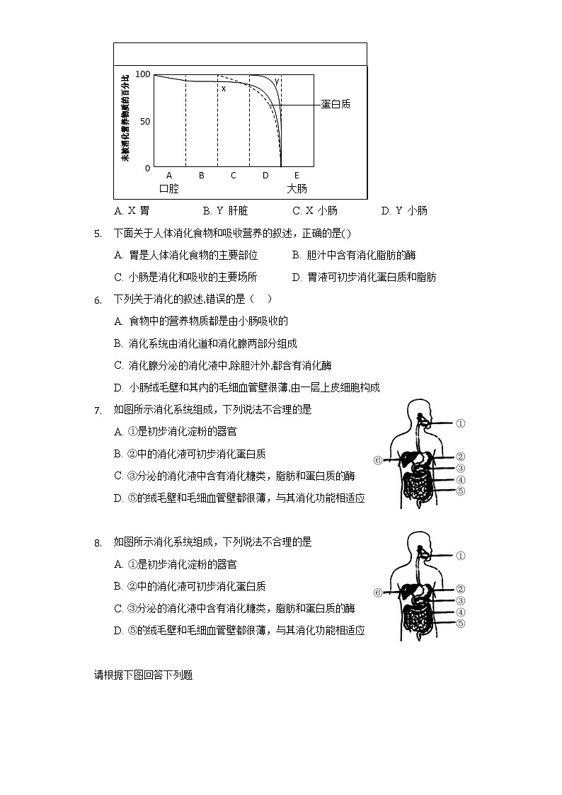 8.2食物的消化和营养物质的吸收  同步练习    北师大版初中生物七年级下册第2页