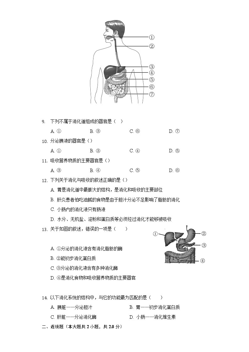 8.2食物的消化和营养物质的吸收  同步练习    北师大版初中生物七年级下册第3页