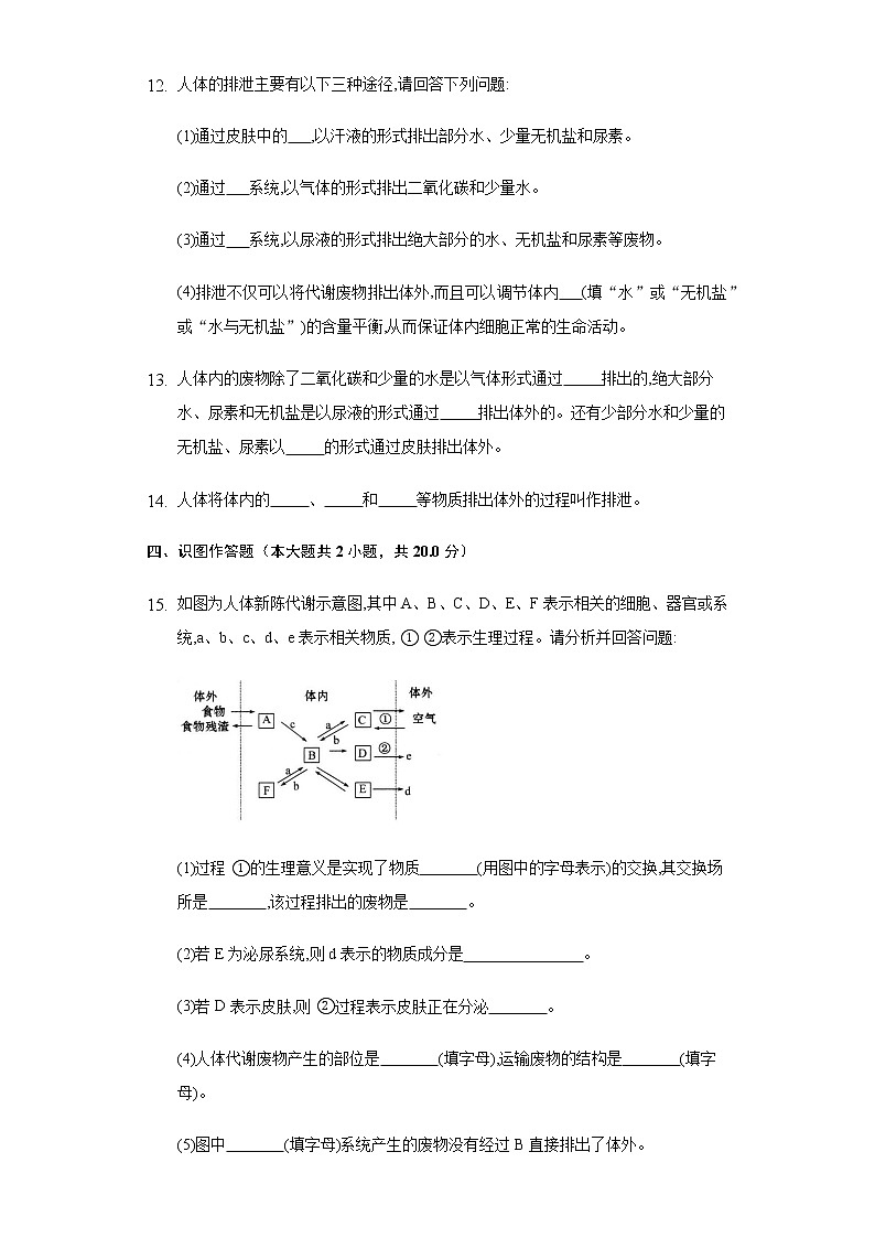 11.1人体产生的代谢废物   同步练习  北师大版初中生物七年级下册第3页