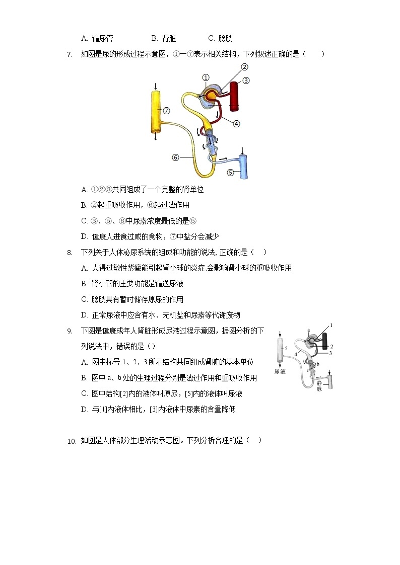 11.2尿的形成与排出   同步练习    北师大版初中生物七年级下册02