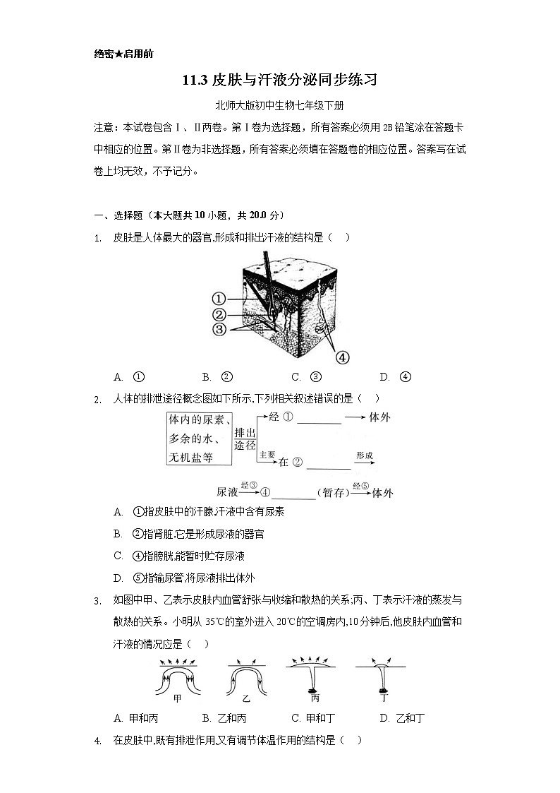 11.3皮肤与汗液分泌   同步练习    北师大版初中生物七年级下册01