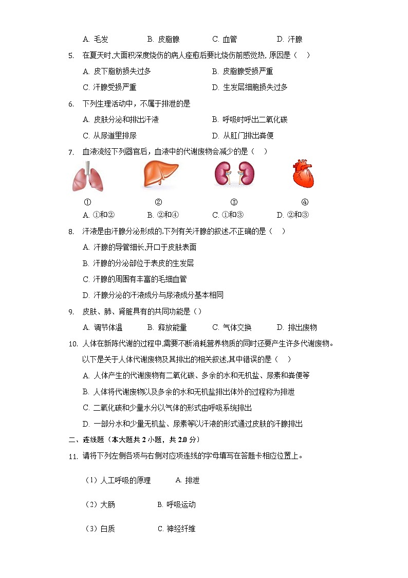 11.3皮肤与汗液分泌   同步练习    北师大版初中生物七年级下册02