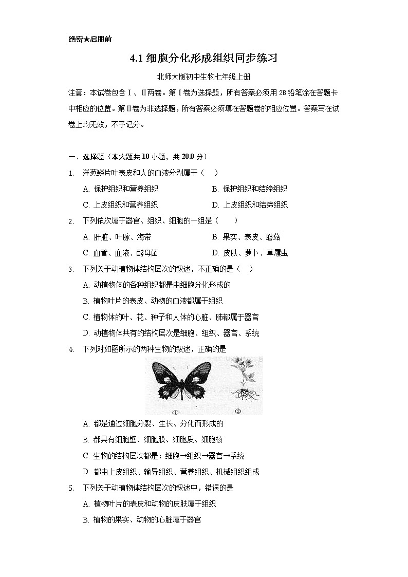 4.1细胞分化形成组织   同步练习   北师大版初中生物七年级上册第1页