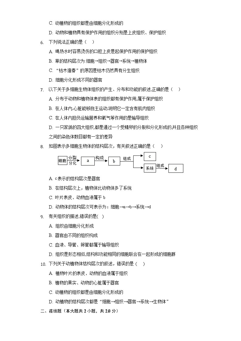 4.1细胞分化形成组织   同步练习   北师大版初中生物七年级上册第2页