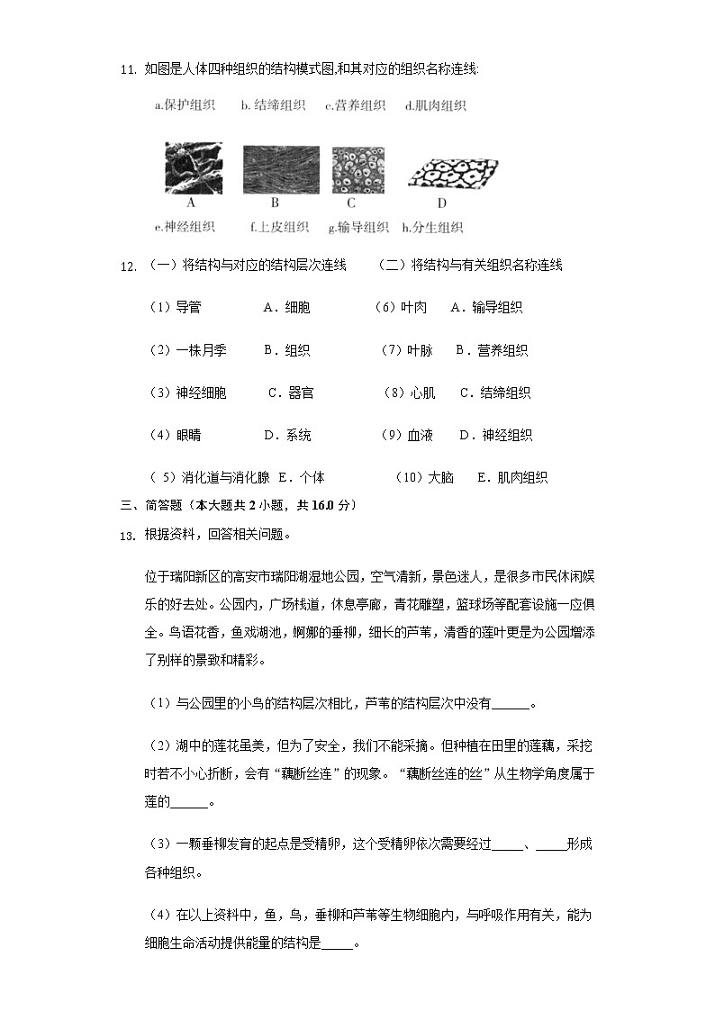 4.1细胞分化形成组织   同步练习   北师大版初中生物七年级上册第3页