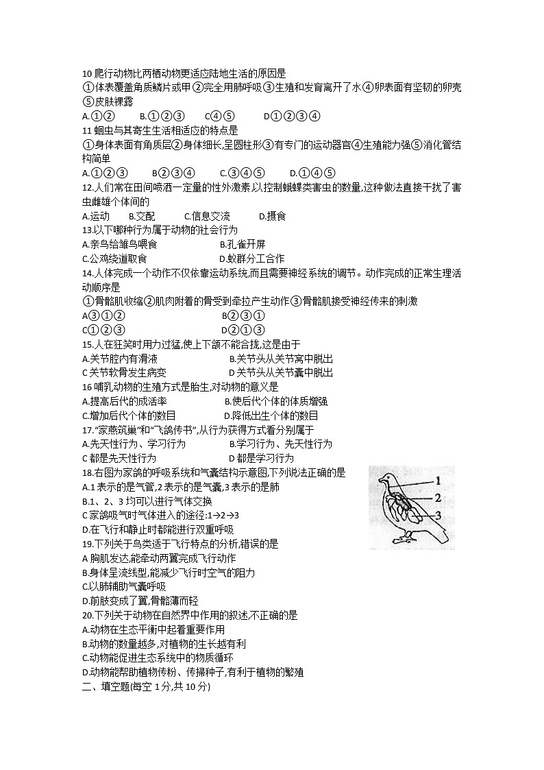 山西省临汾市襄汾县2020-2021学年八年级上学期期中生物试题第2页