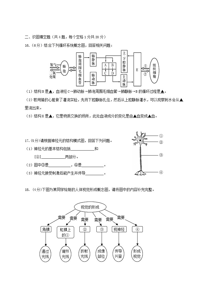 江苏省南通市八一中学2020-2021学年八年级上学期期中测试生物试题03
