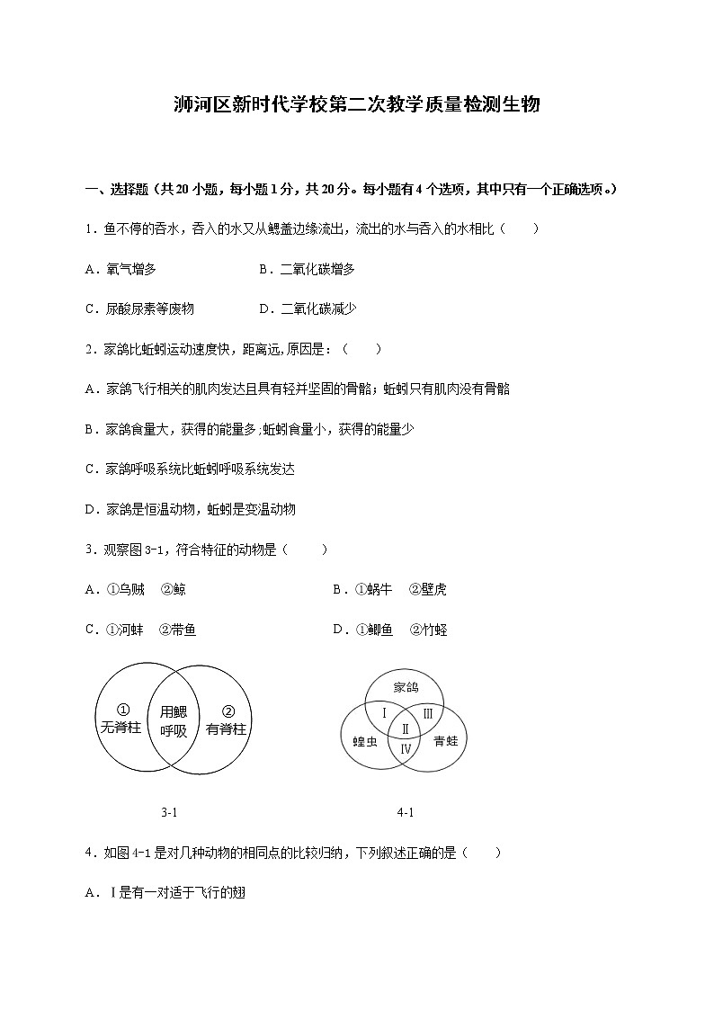 河南省信阳市浉河区新时代学校2020-2021学年八年级上学期第二次月考生物试题01