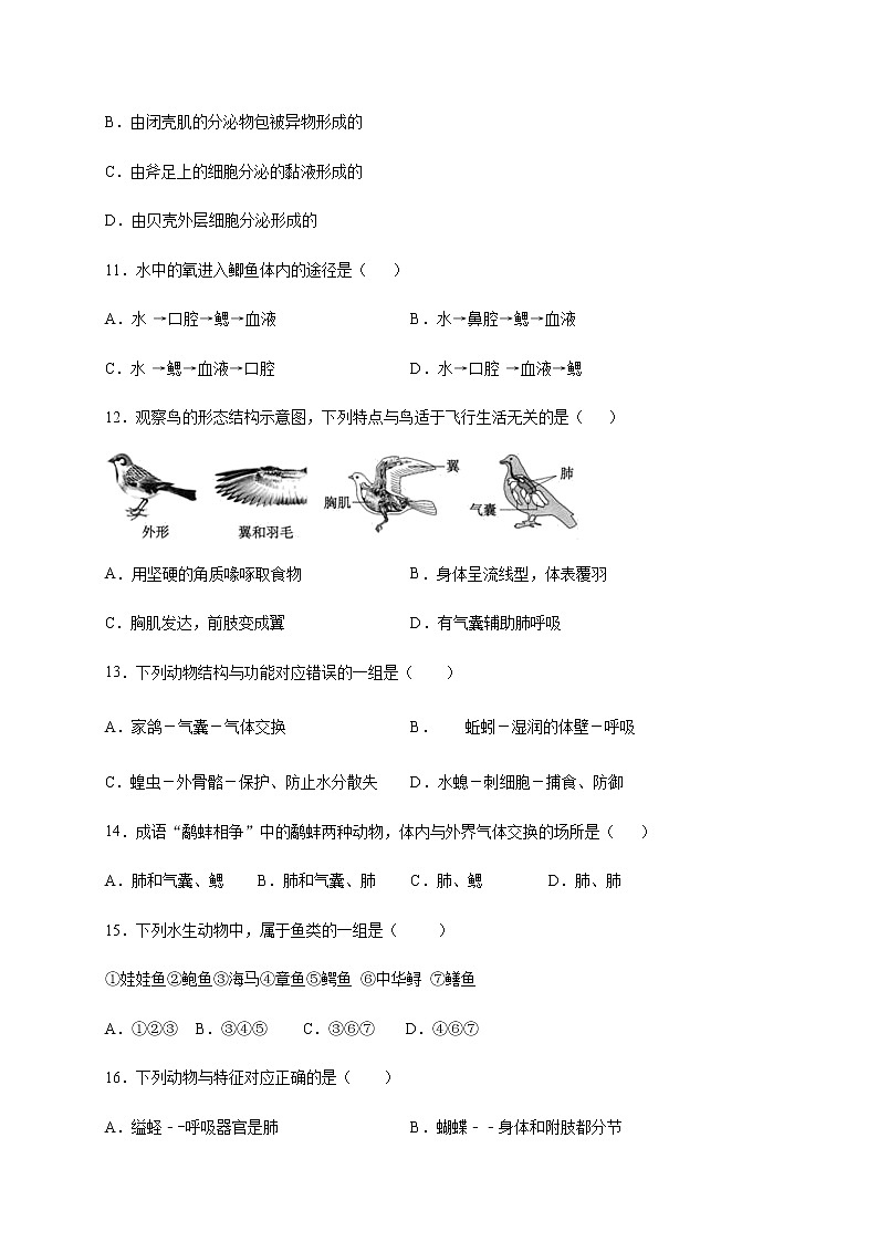 河南省信阳市浉河区新时代学校2020-2021学年八年级上学期第二次月考生物试题03