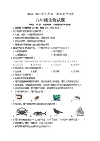 安徽省安庆市2020-2021学年八年级上学期期中考试生物试题