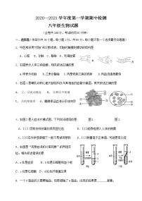 江苏省徐州市2020—2021学年度第一学期期中检测八年级生物试题