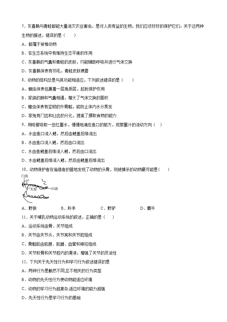 四川省南充市营山县化育中学2020-2021学年八年级上学期期中考试生物试题02