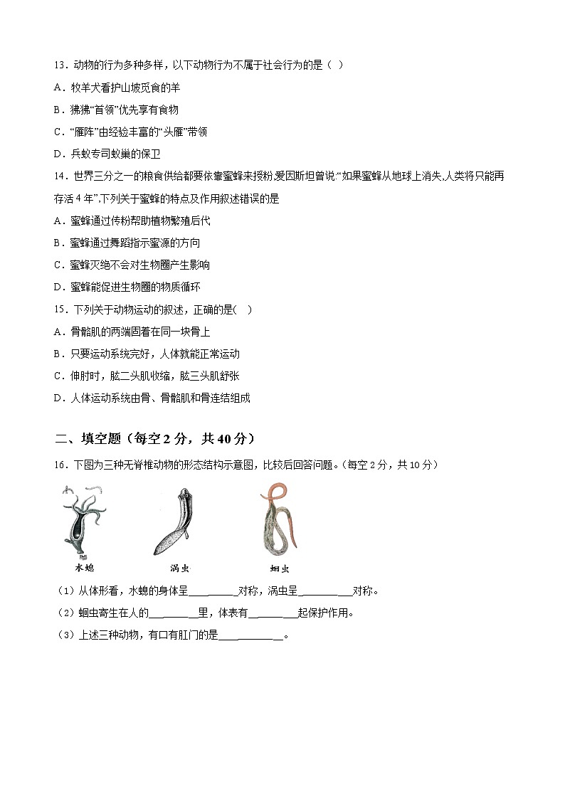 四川省南充市营山县化育中学2020-2021学年八年级上学期期中考试生物试题03
