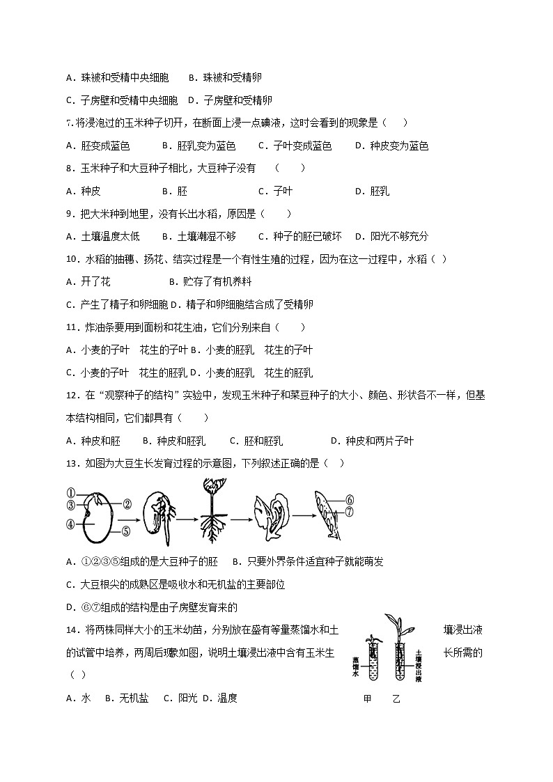 山东省潍坊市安丘东埠中学2020-2021学年八年级上学期第一次学情调研（10月）生物试题第2页