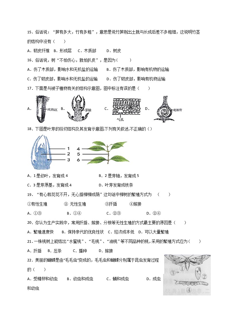 山东省潍坊市安丘东埠中学2020-2021学年八年级上学期第一次学情调研（10月）生物试题第3页