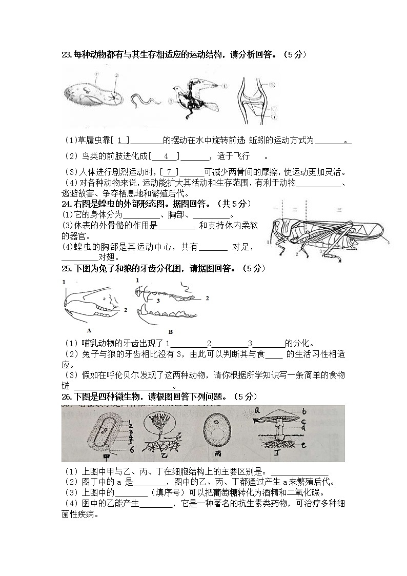 湖南省岳阳市平江县南江学区2020-2021学年八年级上学期期中考试生物试题03