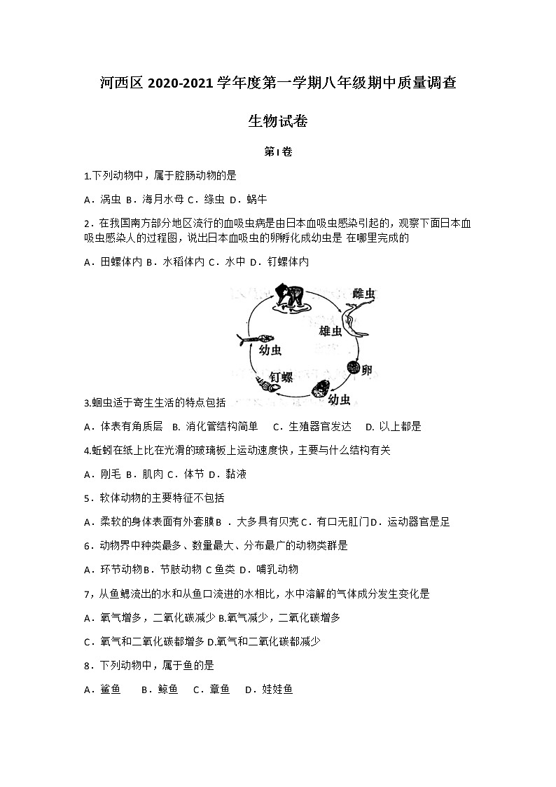 天津市河西区2020-2021学年八年级上学期期中生物试题第1页