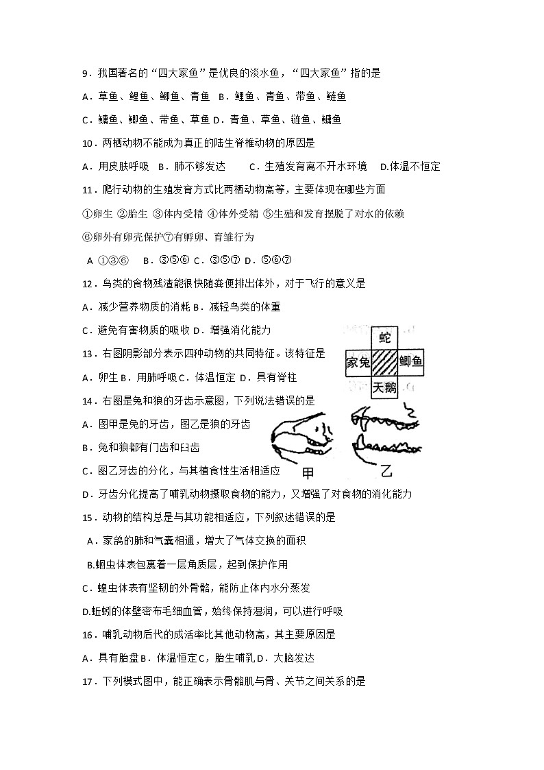 天津市河西区2020-2021学年八年级上学期期中生物试题第2页