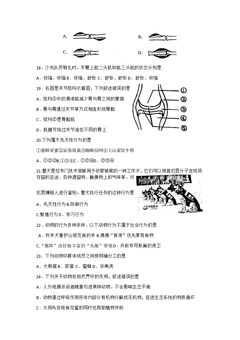 天津市河西区2020-2021学年八年级上学期期中生物试题第3页