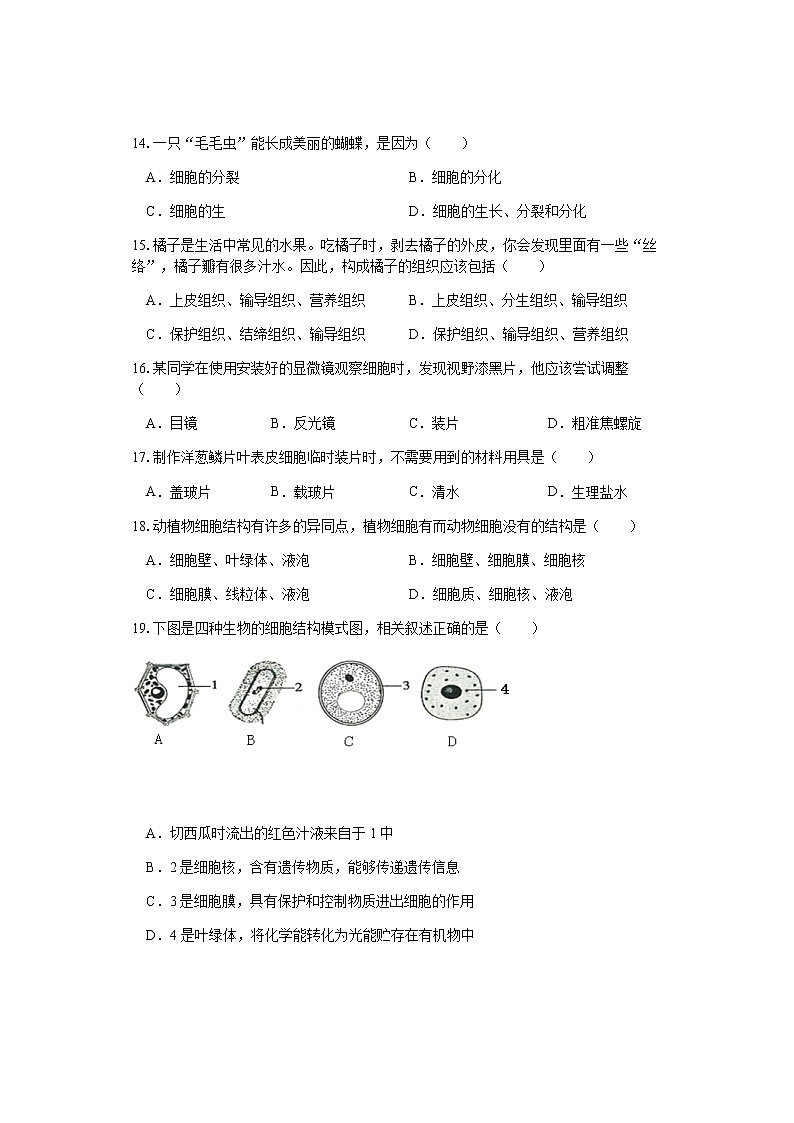 湖南省娄底市2020-2021学年七年级上学期期中考试生物试题第3页