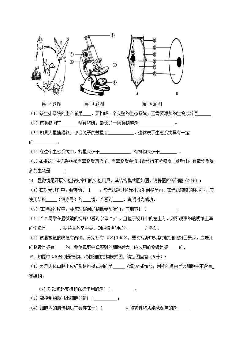 内蒙古二连浩特市第二中学2020-2021学年七年级上学期期中考试生物试题第3页
