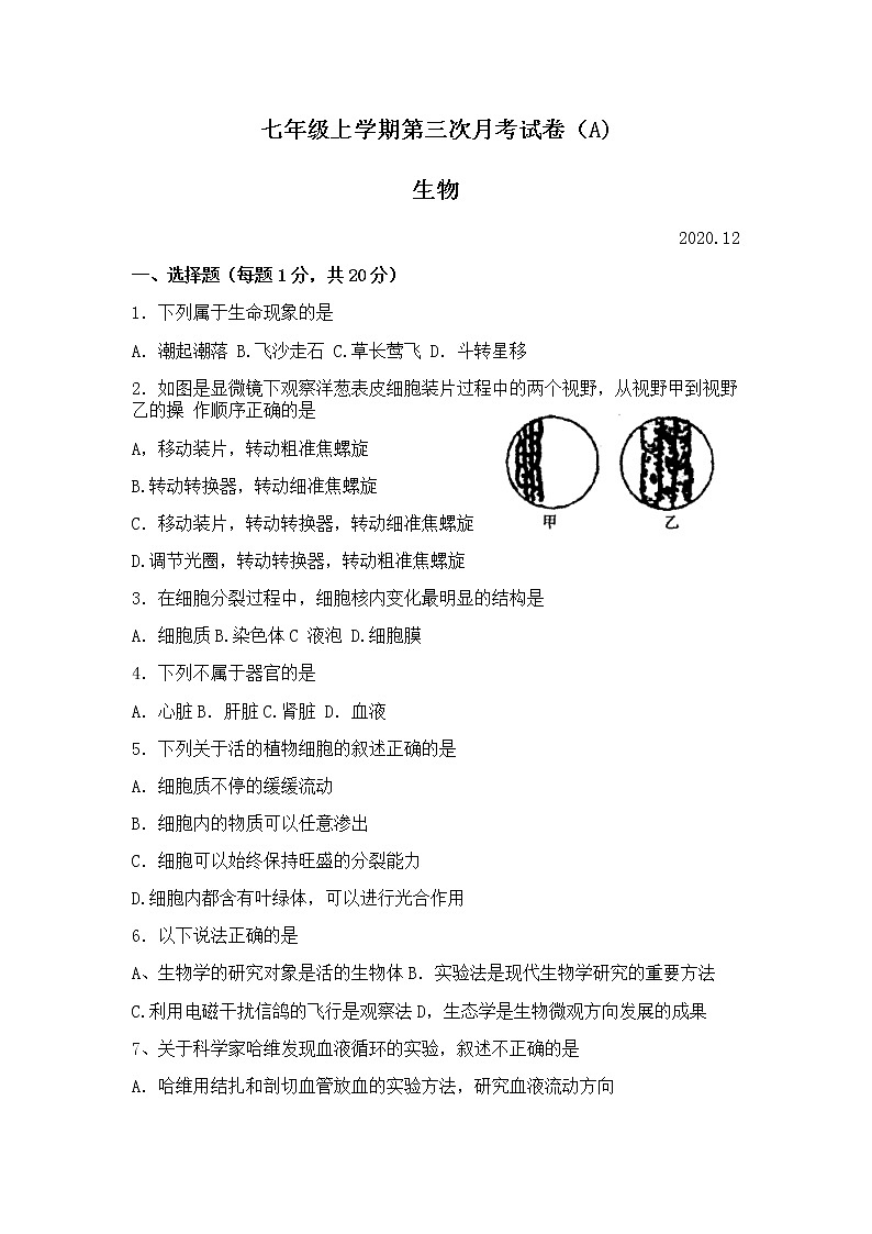 河南安阳汤阴县2020-2021学年第一学期七年级12月考试生物试卷（Word版无答案）第1页