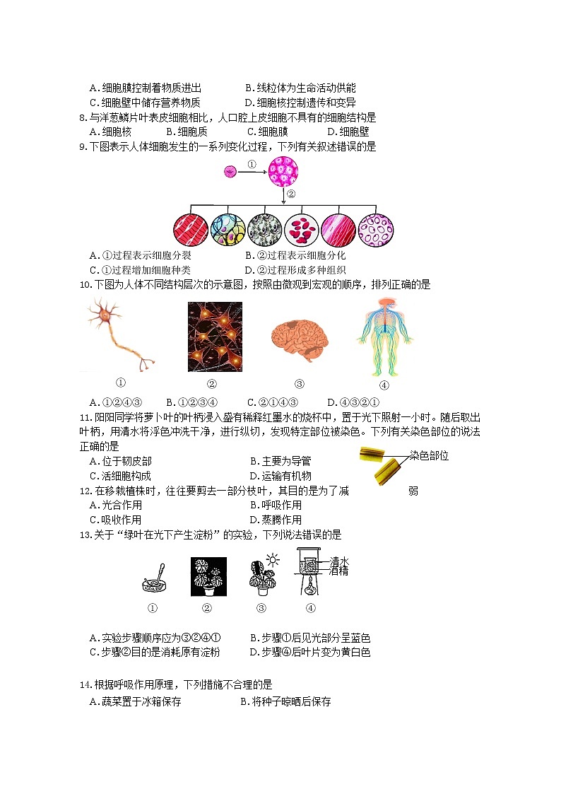 北京市昌平区2020-2021学年上学期七年级生物期末试题及答案02