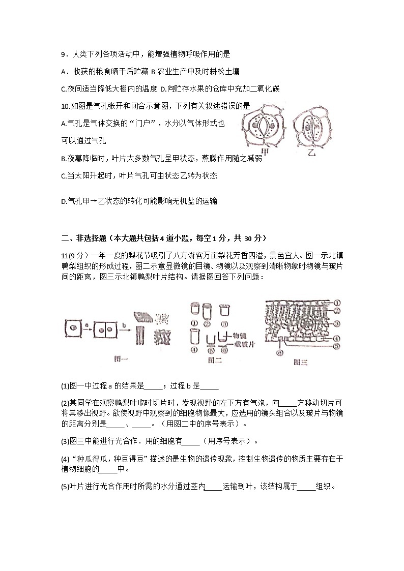 辽宁省鞍山市岫岩县2020-2021学年七年级12月质量阶段生物试题第2页