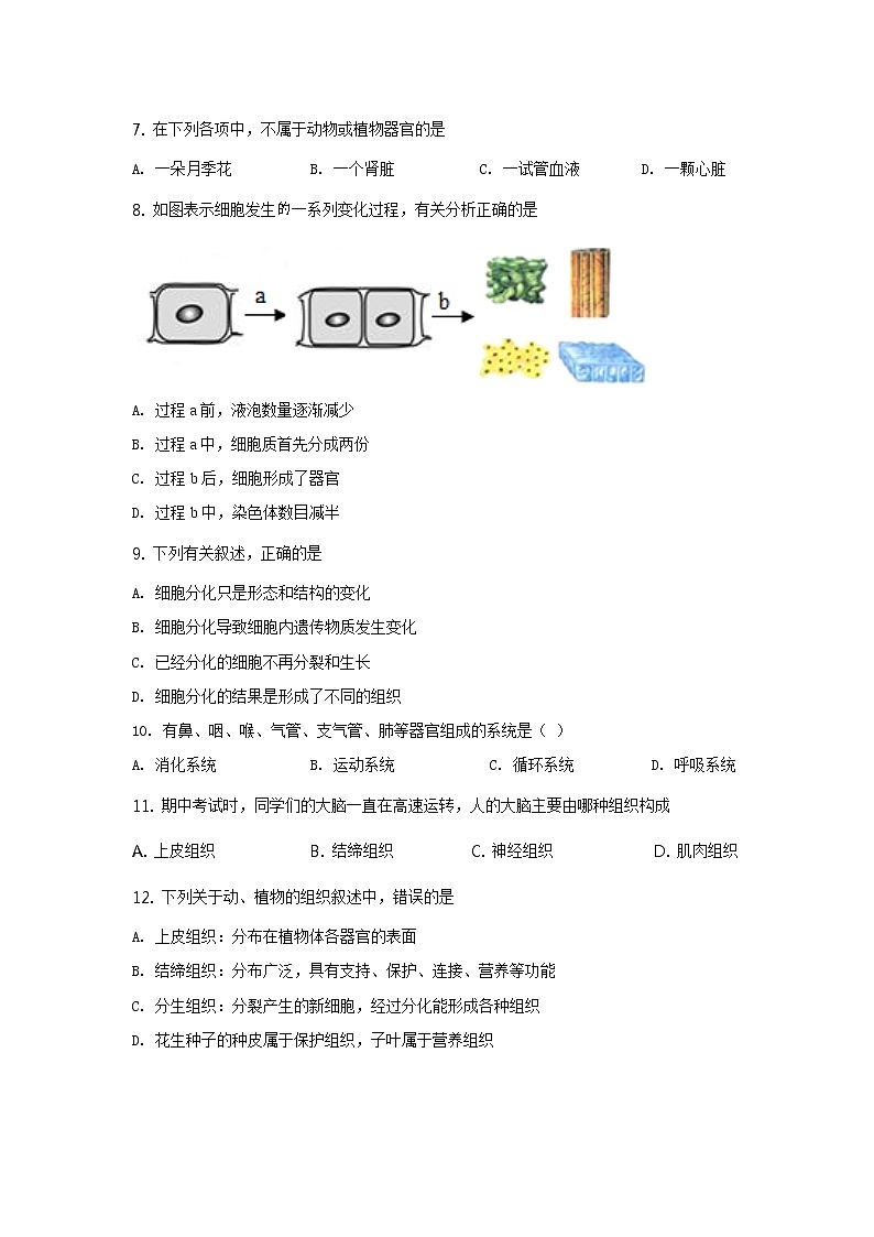 北京市昌平区新学道临川学校2020-2021学年七年级12月月考生物试题第2页