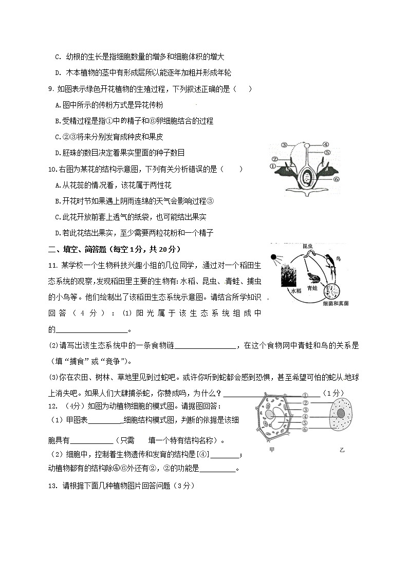 湖北省麻城市思源实验学校2020-2021学年七年级12月月考生物试题第2页
