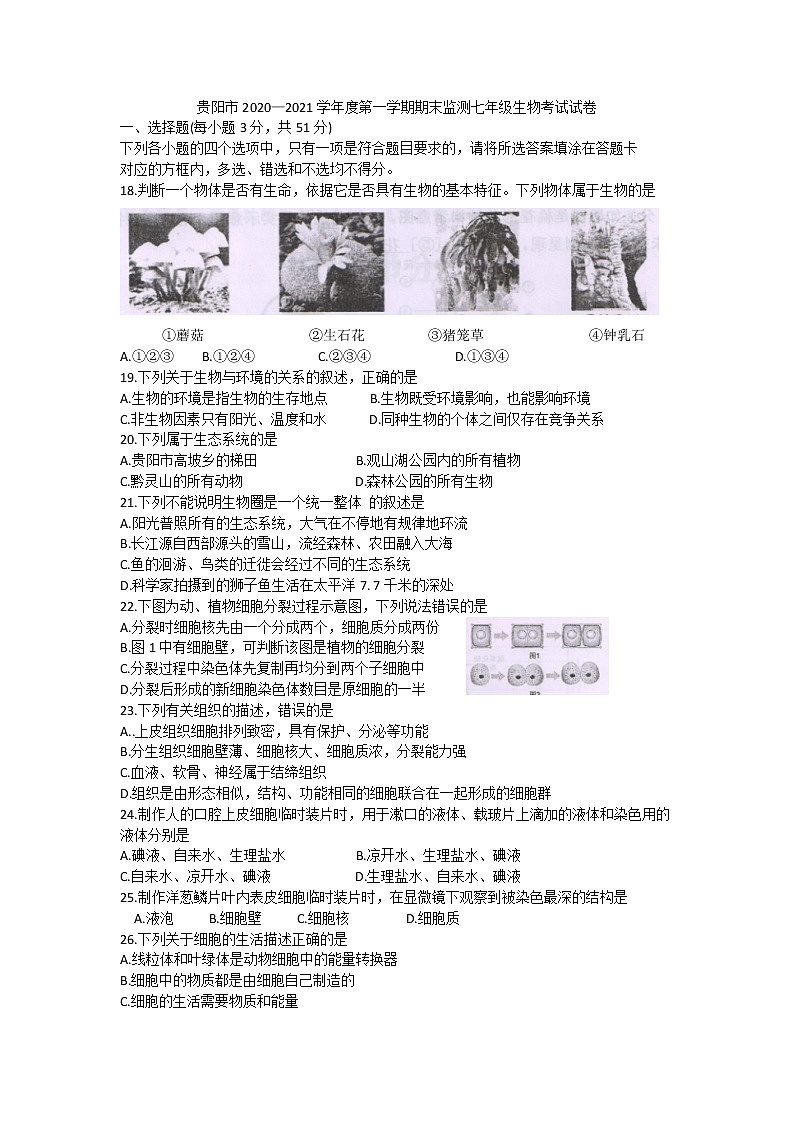 贵州省贵阳市2020—2021学年 第一学期期末监测七年级生物考试试卷及答案01