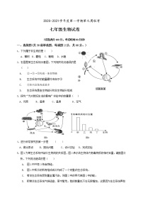 广东省高州市初中卓越联盟2020-2021学年七年级10月联考生物试题