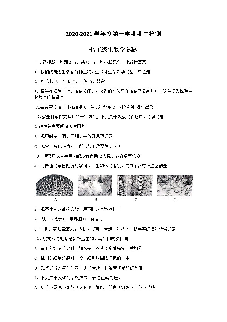 山东省济宁市兖州区2020-2021学年上学期七年级期中考试生物试卷01
