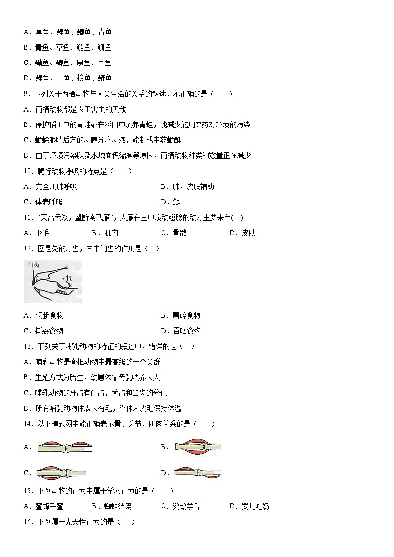 2019-2020学年八年级上学期河南省开封市兰考县期末生物试题（解析卷）第2页
