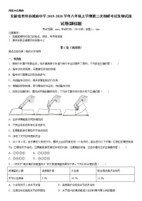 2019-2020学年八年级上学期安徽省阜阳市城南中学第三次调研考试生物试题（原卷+解析卷）