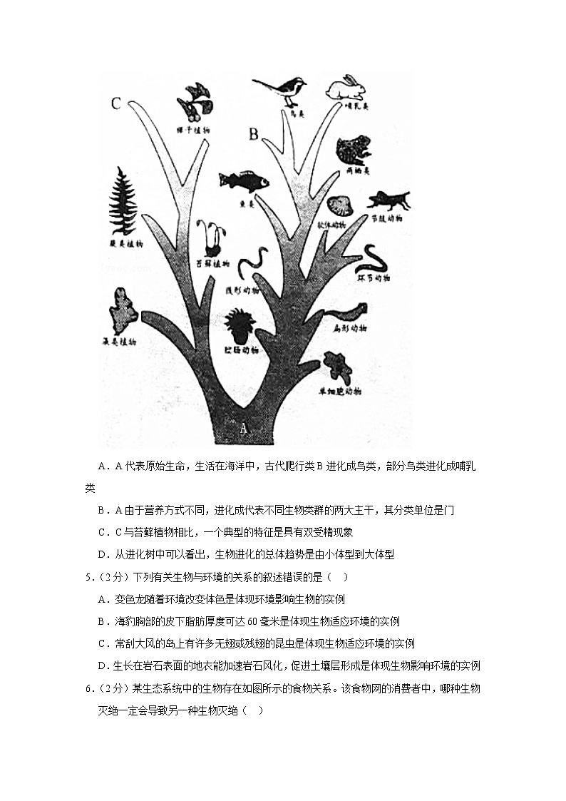2018-2019学年山东省潍坊市高密市八年级（上）期末生物试卷（解析版）第2页