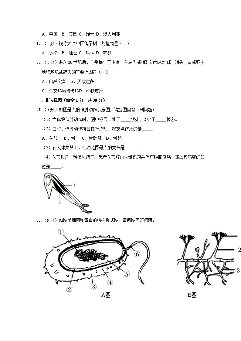 2018-2019学年河南省驻马店市泌阳县八年级（上）期末生物试卷（解析版）03