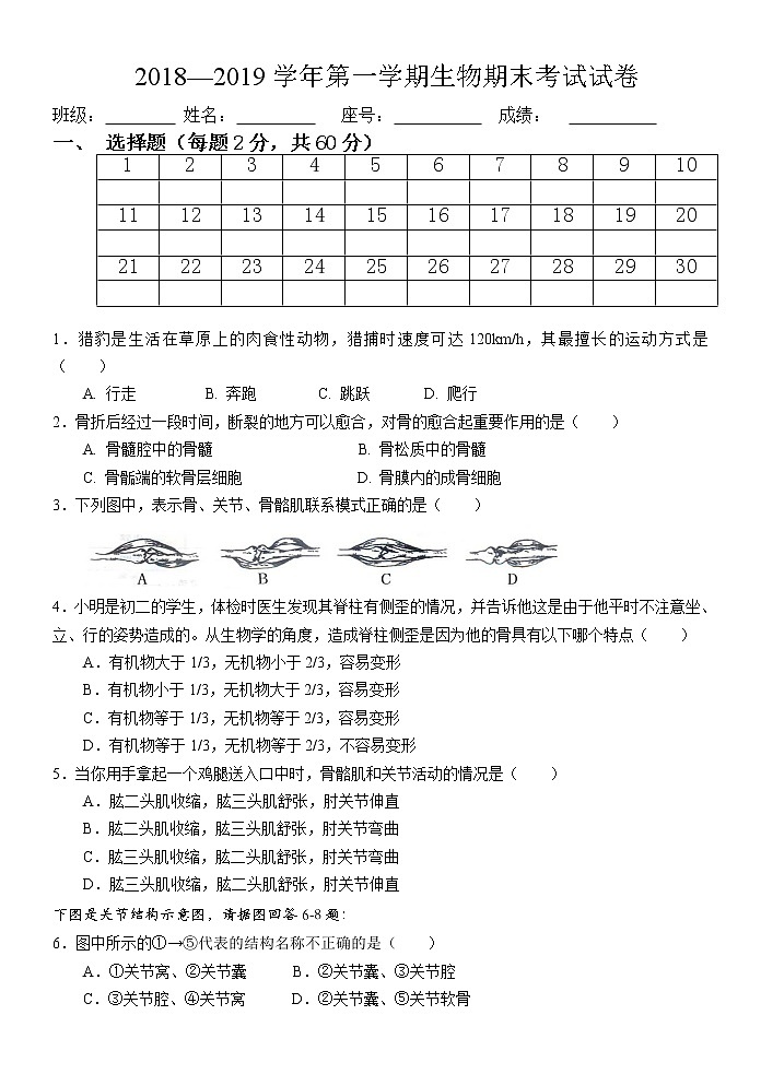 2018-2019学年广东省梅州市丰顺县东海中学八年级上学期期末考试生物试题第1页