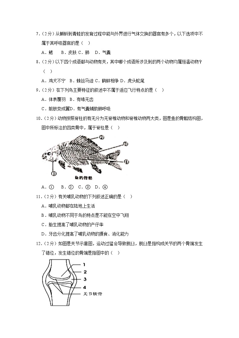 2018-2019学年湖北省武汉市黄陂区八年级（上）期末生物试卷（解析版）02