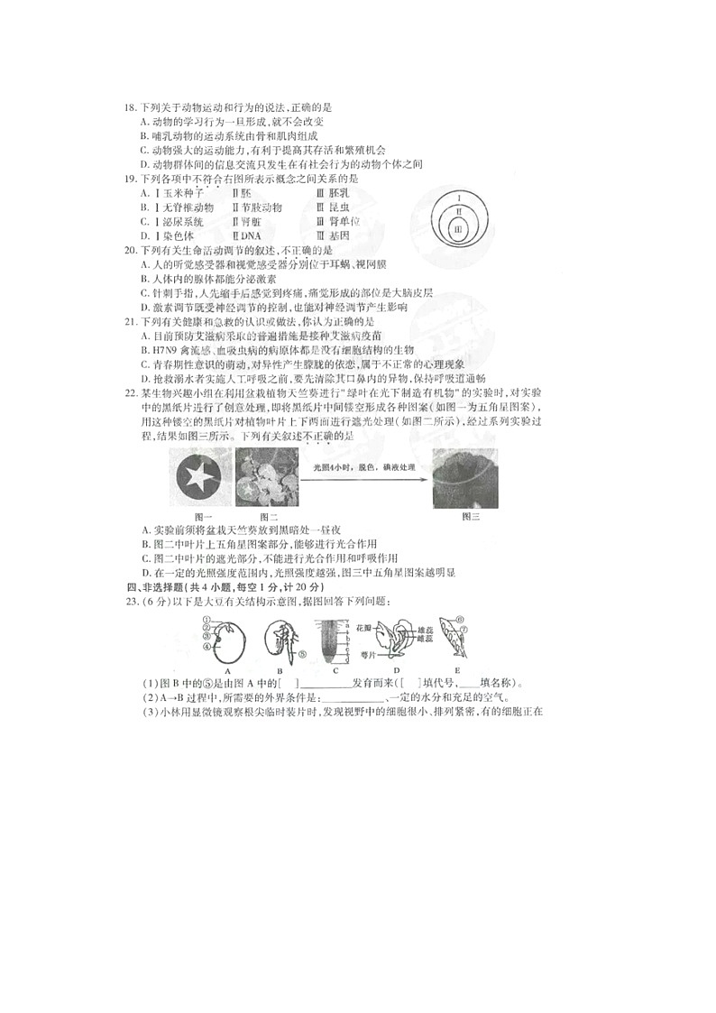 2017湖北黄冈中考生物试卷及答案02