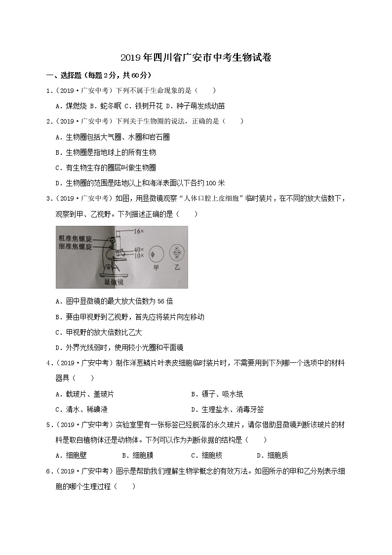 2019年四川省广安市中考生物试题（WORD版，含解析）01