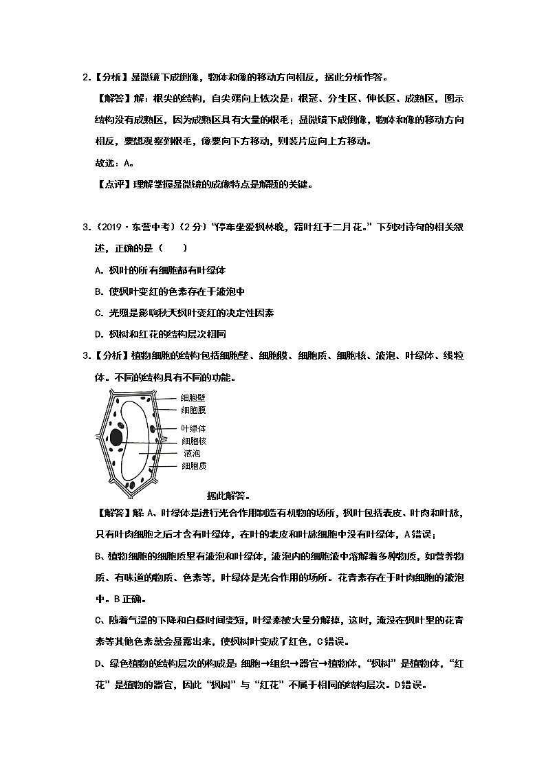 2019年山东省东营市中考生物试题（Word版，含解析）02