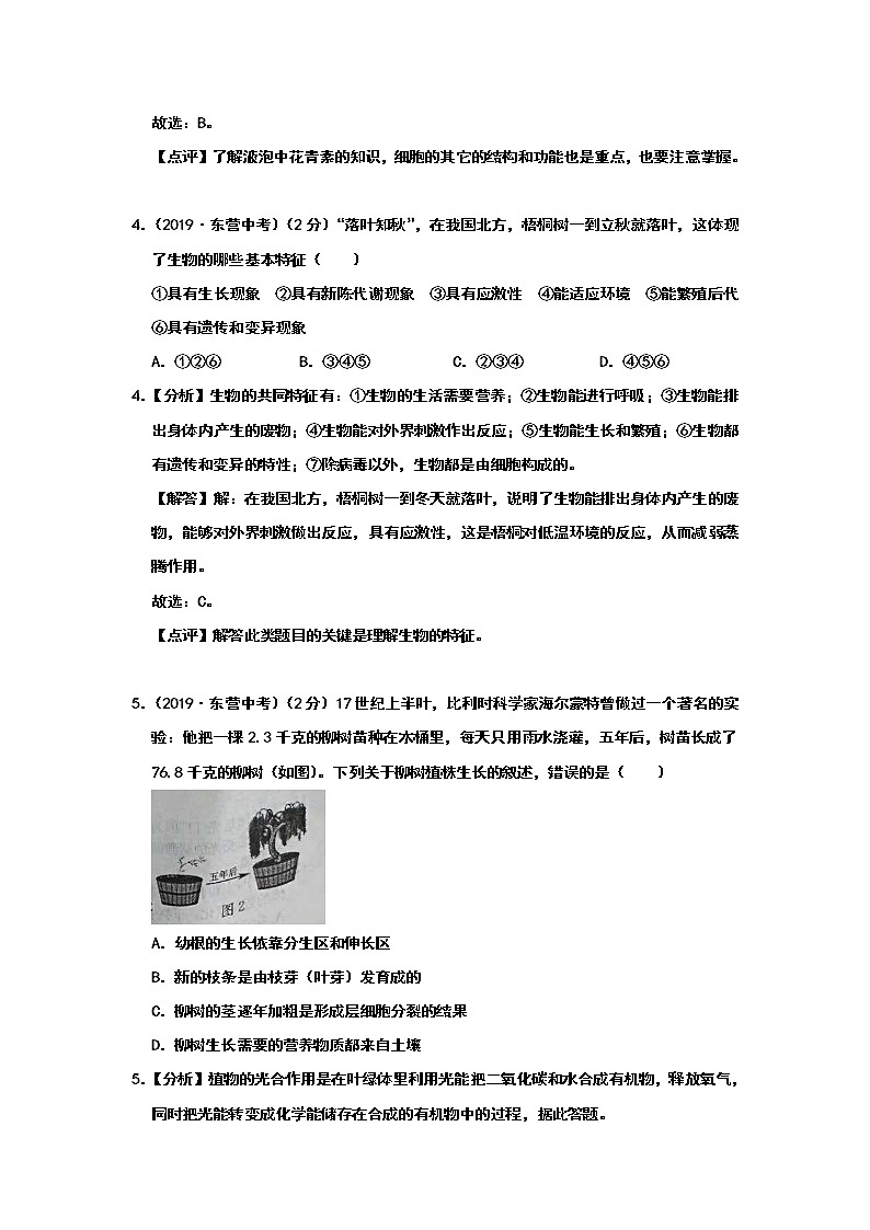 2019年山东省东营市中考生物试题（Word版，含解析）03